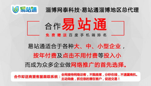臨淄網(wǎng)絡(luò)推廣服務專家 淄博網(wǎng)泰科技引領(lǐng)企業(yè)數(shù)字化轉(zhuǎn)型