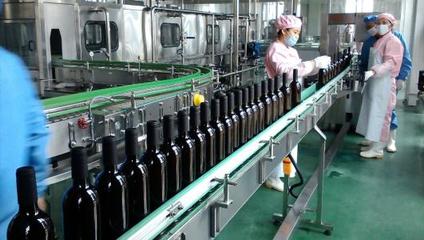 從山楂到佳釀 現代化山楂酒生產線全景解析